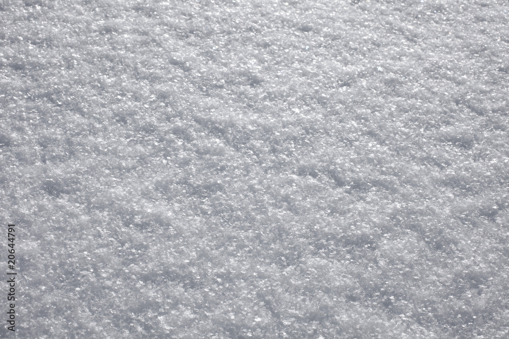 Obraz premium Deep snow