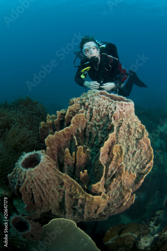Wallpaper Mural woman scuba diver swimming  behind coral structure Torontodigital.ca
