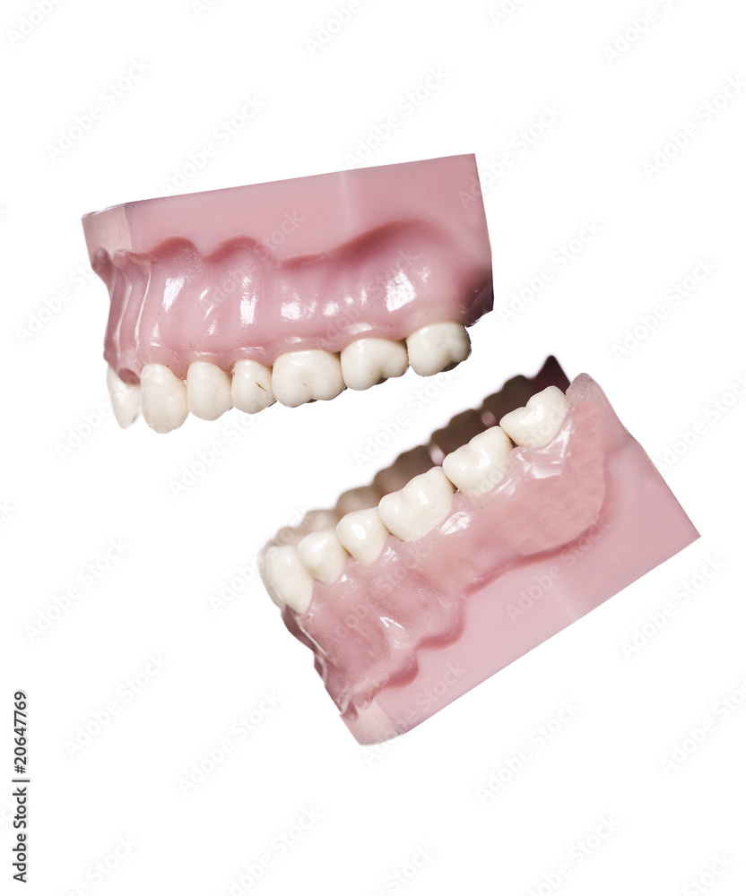 Obraz premium Vintage artificial teeths