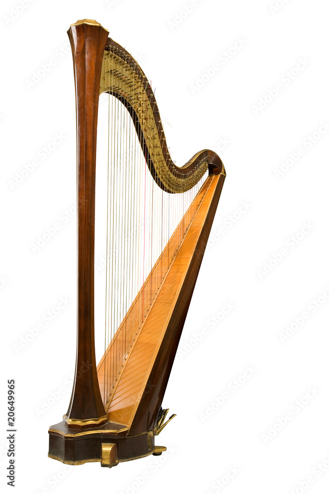 Naklejka premium Harfa