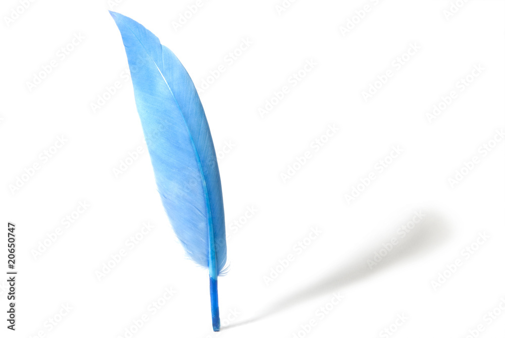 feather feather