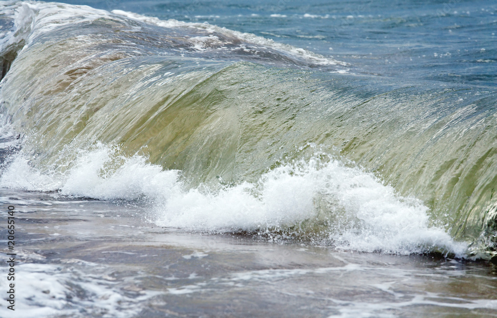 Fototapeta premium Sea surf wave (nature background)