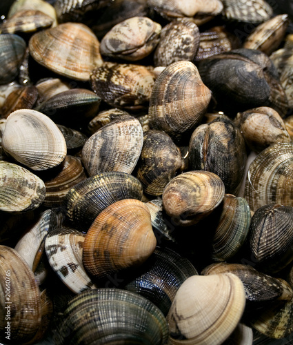 clams vongole