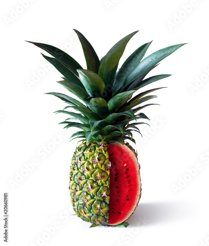 Bilde på lerret Pinemelon 2
