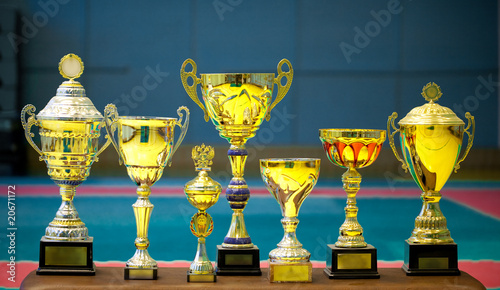 group of trophies