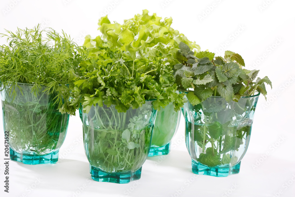 fresh herbs in the glass. fresh herbs in the glass.