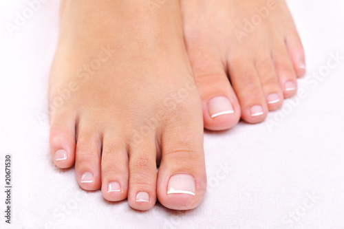 beauty female feet