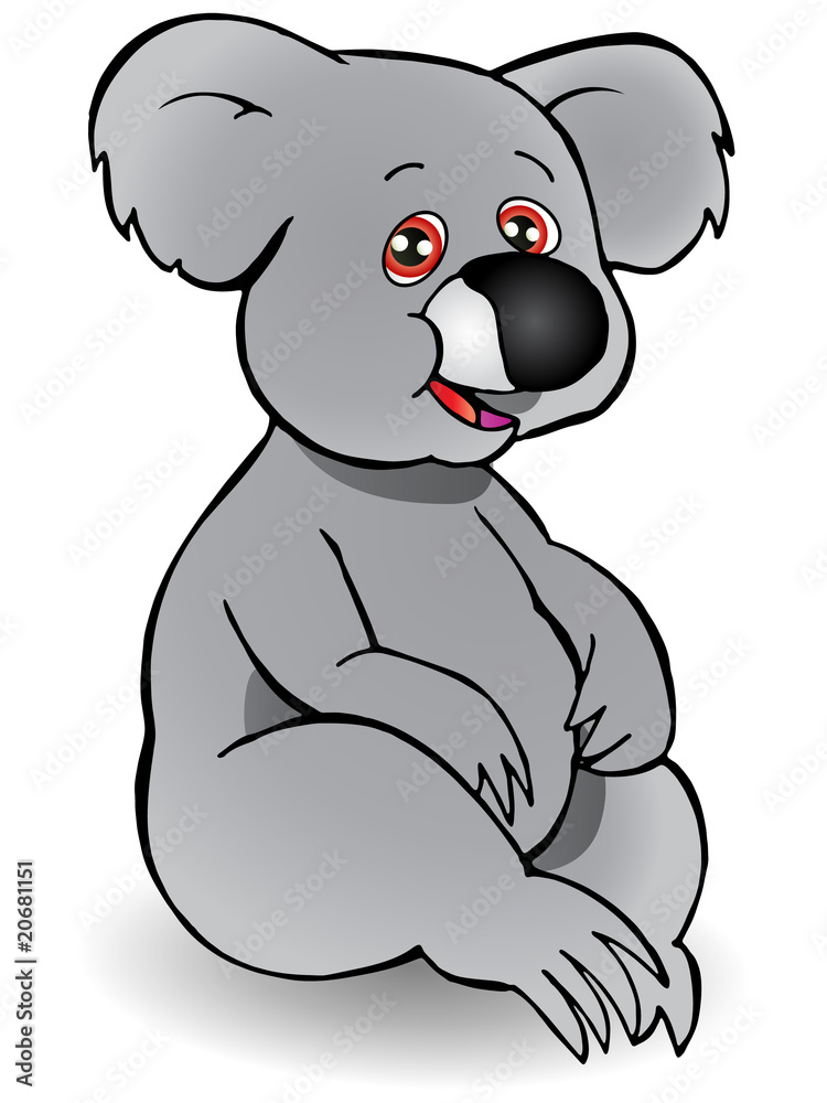 Fototapeta premium Koala