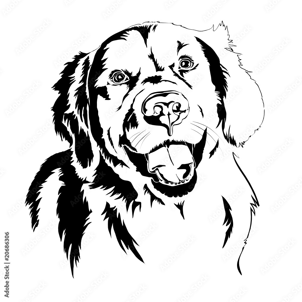 Golden Retriever - Silhouette Golden Retriever - Silhouette