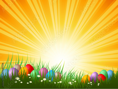 easter eggs in grass