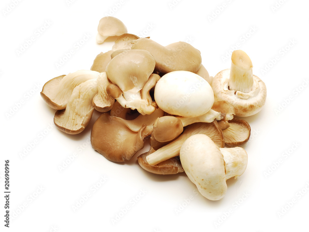 Fototapeta premium edible mushrooms