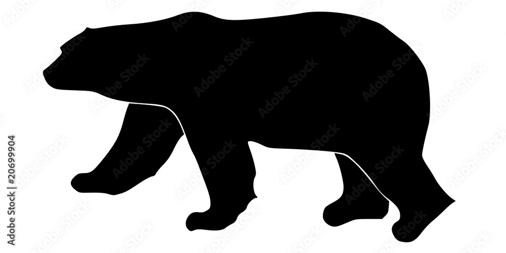 polar bear polar bear