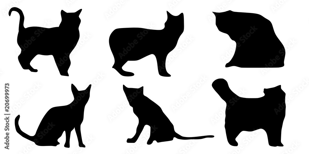 silhouette of cats