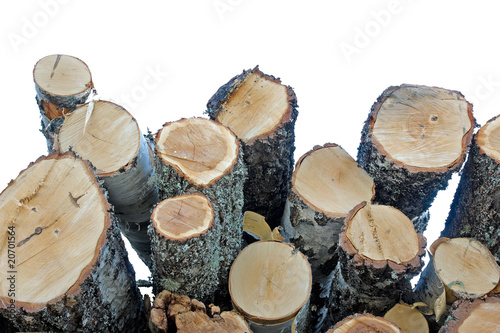 Stack of logs
