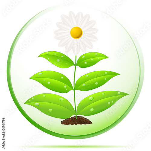 Blume in der Glaskugel