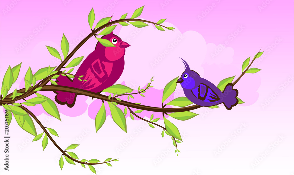 birds in love birds in love