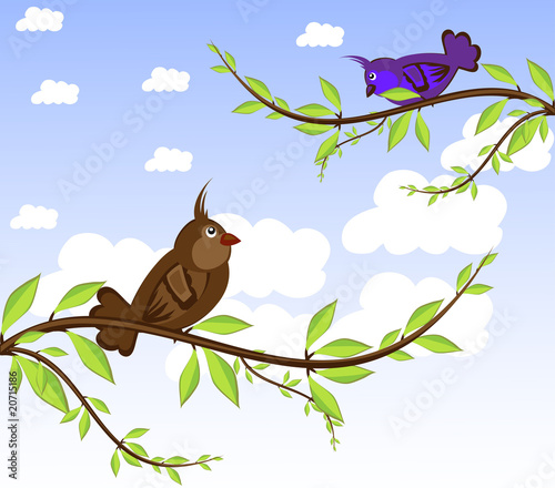 birds in love