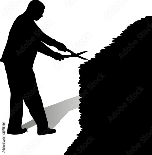 Man cutting hedge
