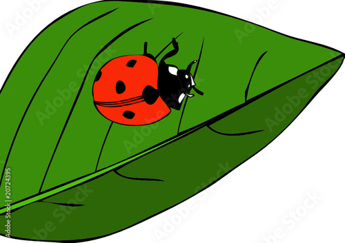 Portafortuna