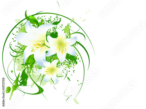 lily