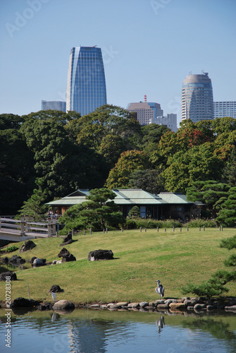 La maison de thé du parc Hama Rikyu 2