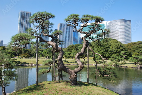 Parc Hama Rikyu à Tokyo