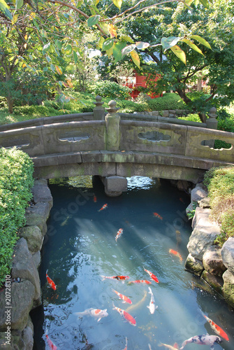 Jardin Japonais