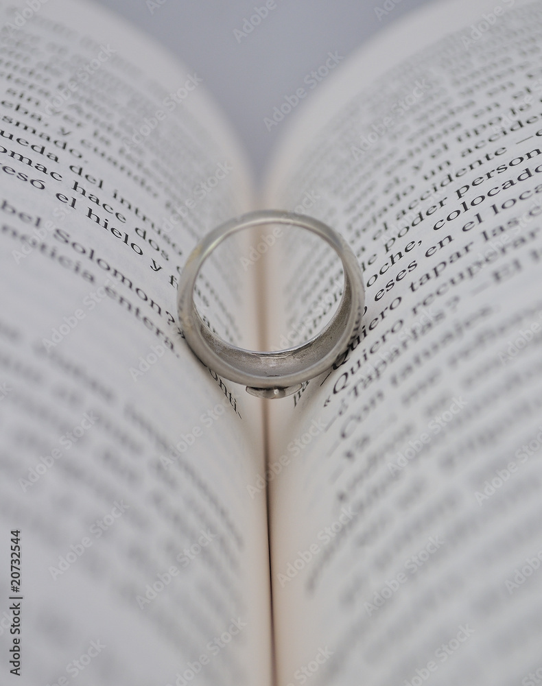 Fototapeta premium Boda