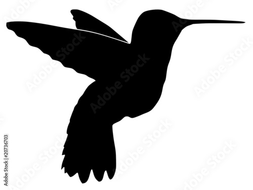 silhouette of hummingbird