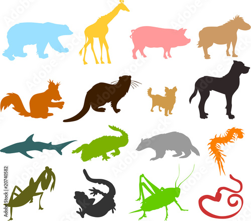 Fototapeta Naklejka Na Ścianę i Meble -  Set of animals icons  - silhouettes 03