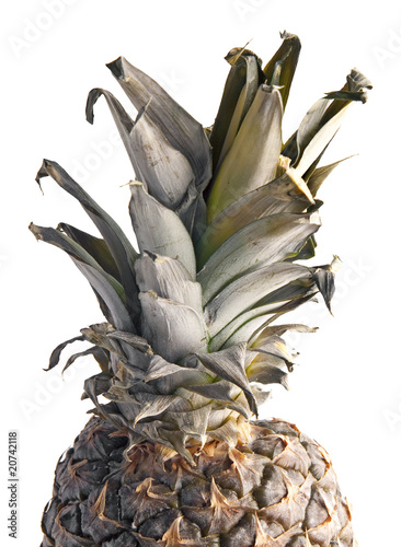 pinapple