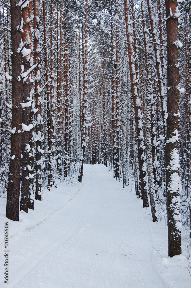 Fototapeta premium ëûæíÿ