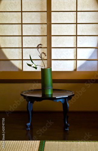 A white rose against a Japanese paper screen window