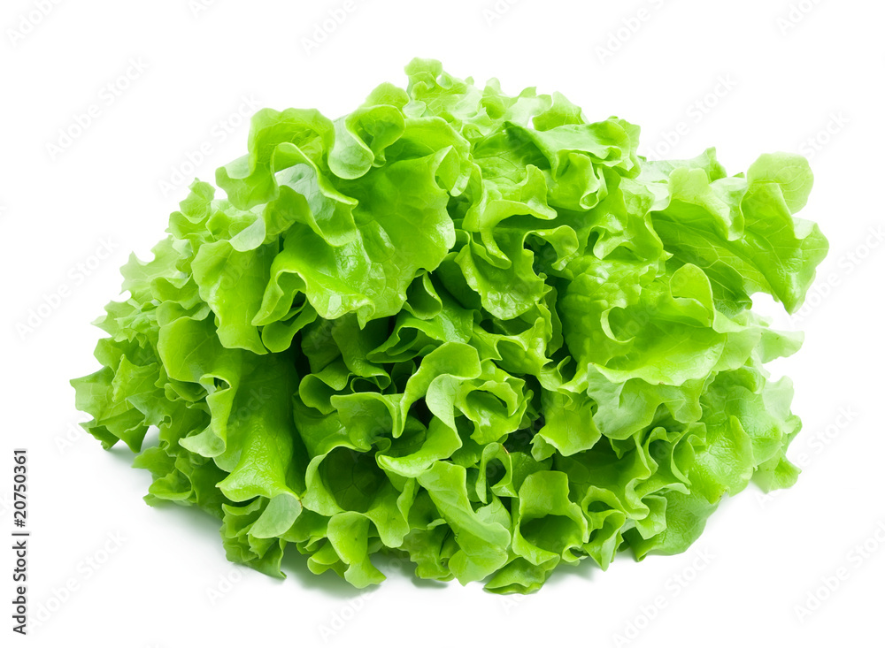 Lettuce