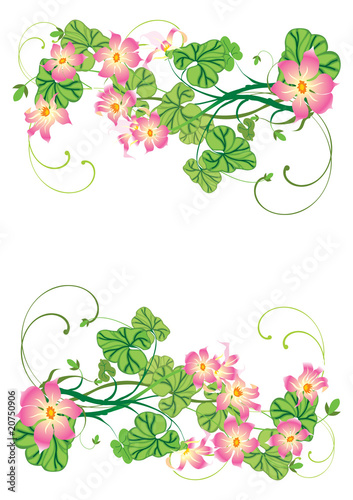 floral background