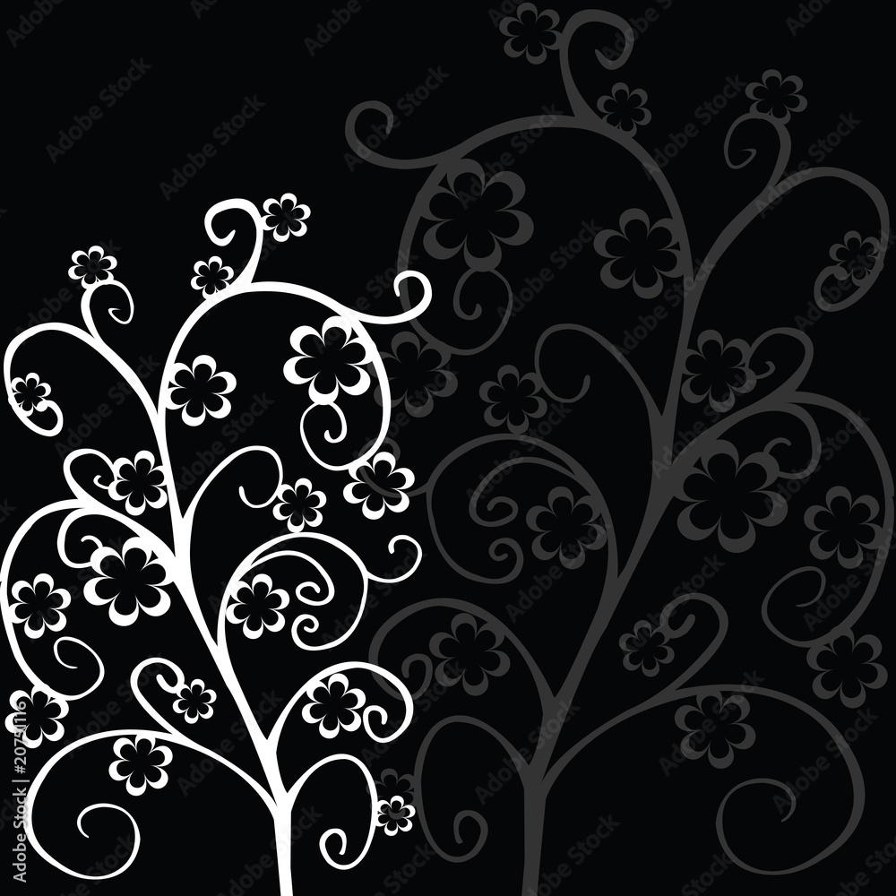 Elegant floral foliage on black background Elegant floral foliage on black background