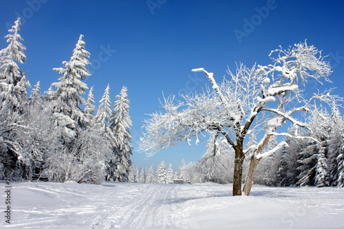 Winter im Osterzgebirge 20