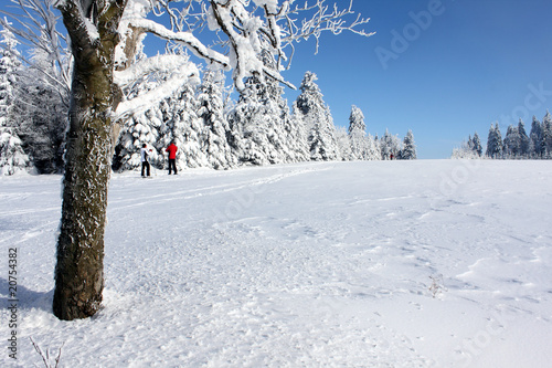 Winter im Osterzgebirge 21 photo