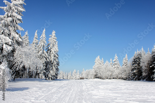 Winter im Osterzgebirge 22 © henryn0580