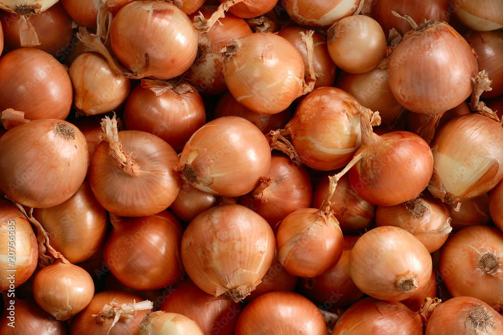 Onion texture Onion texture