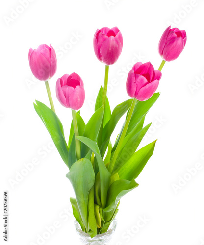 five pink tulips bouquet © percent
