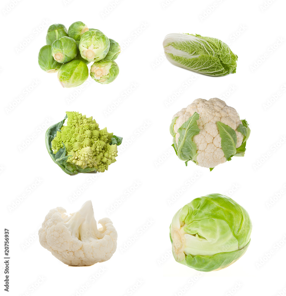 Obraz premium set of different sorts of cabbage