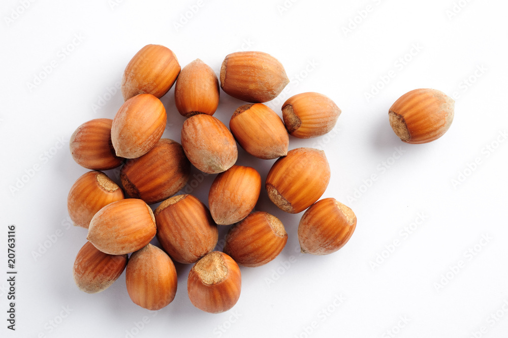 Noisettes Noisettes