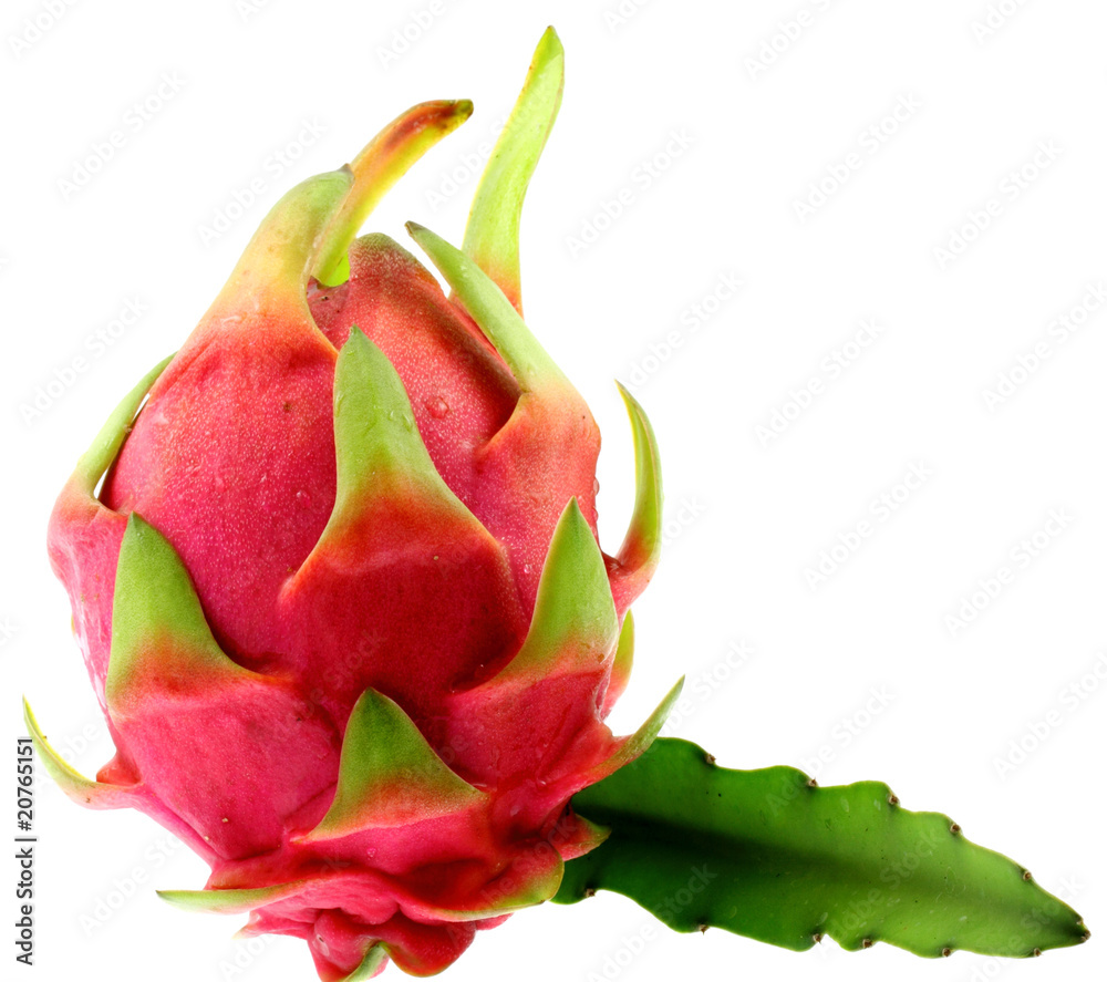 pitaya exotique,  fruit du dragon, fond blanc