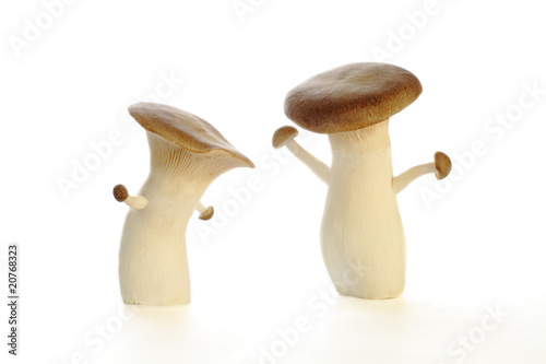 mushroom-man