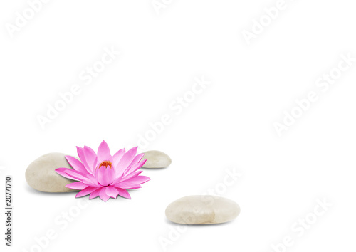 Fleur de lotus et galets