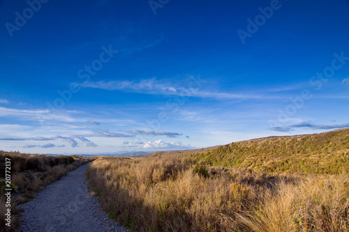 Tongariro Crossing II