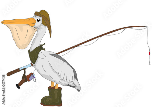 vector -   pelican bird like fish hunter