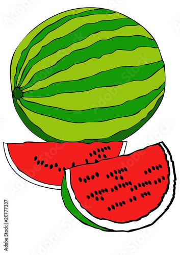 Cocomero