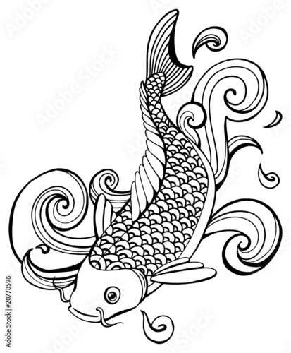 koi fish (vector)